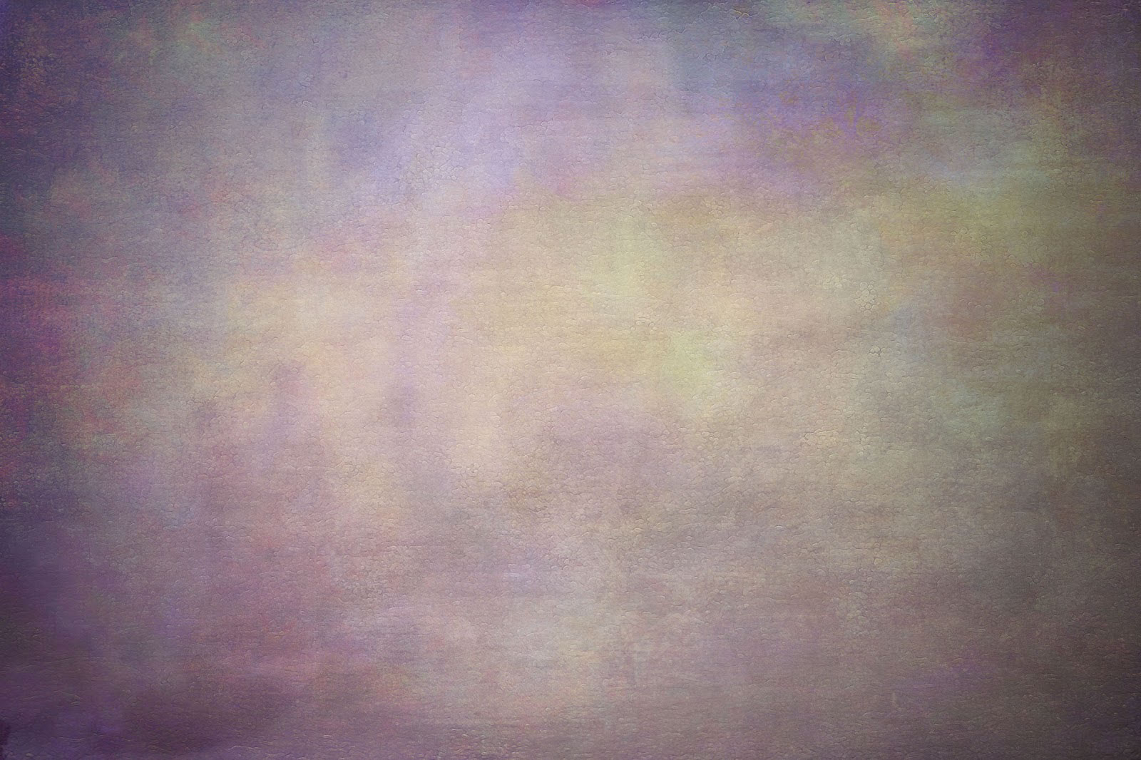 Deirdre v/d Wolk